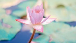 Online Study Group Meeting for Monday (8/12/2024)