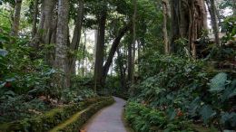 Online Study Group Meeting for Monday (7/22/2024)