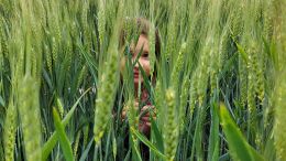 The Seed of Our Freedom