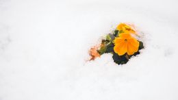 Break Through the Barrier of Any Pain that Seems Too Great to Bear