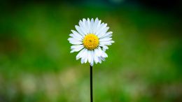 How to Make Way for a New Kind of Will