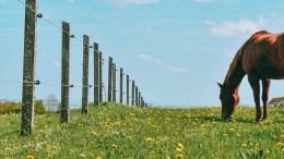 Student Talks on "How to Let Go and Enter the Divine Flow of Life" (3/3/23)