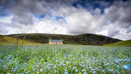 Online Study Group Meeting for Monday (2/19/2024)