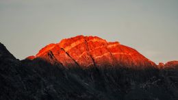 Student Q&A with Guy on "Go Beyond Painful Limitation to Realize Fearless Being" (6/30/21)