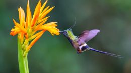 I Don't Have to Listen to Fear