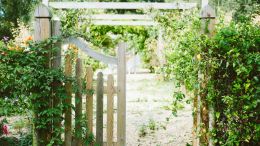 Enter the Narrow Gate of Endless New Beginnings