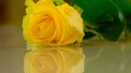 Move from the Mental How into the Spiritual Now