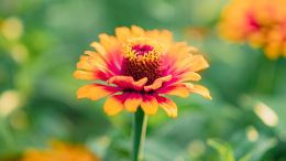 Online Study Group Meeting for Monday (4/15/2024)