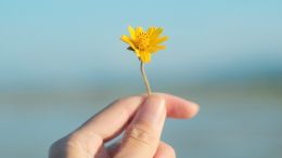 Move from the Mental How into the Spiritual Now