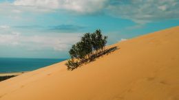 Online Study Group Meeting for Monday (2/13/2023)