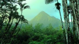 Thought Can't Reconcile ANYTHING!