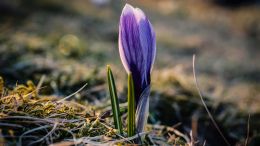 Let Go and Awaken to a Whole New You