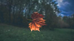 The Single Greatest Discovery Any Human Being Can Make