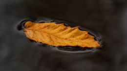 Student Q&A with Guy on "Learn this One Lesson in Life and Watch the Fear of Failure Fade from Sight" (12/10/23)