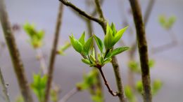 5 New Actions to Take in Any Anxious or Fearful Moment