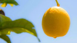 Turn Any Unwanted Event Into a New Kind of Victory