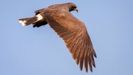 Student Q&A with Guy on "Go Beyond Painful Limitation to Realize Fearless Being" (6/30/21)