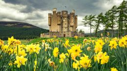 Online Study Group Meeting for Monday (10/24/2022)