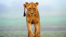 The Freedom to Be Fearless Starts Here