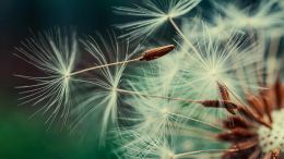 Healing Begins with the Awareness that Something is Out of Order