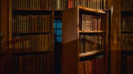 Go Beyond Painful Limitation to Realize Fearless Being