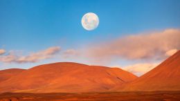 Online Study Group Meeting for Monday (8/5/2024)