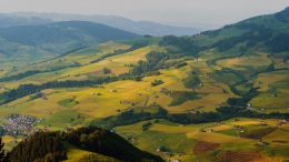 Student Q&A with Guy on "Go Beyond Painful Limitation to Realize Fearless Being" (6/30/21)