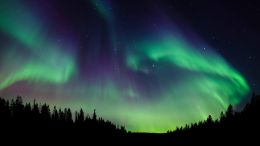 End the Frustration of Trying to Control Everything