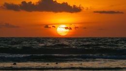 Online Study Group Meeting for Monday (8/14/2023)