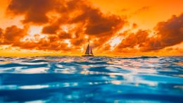 Seven Questions for Self-Wholeness