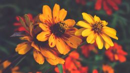 Online Study Group Meeting for Monday (1/8/2024)