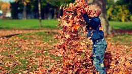 Online Study Group Meeting for Monday (9/11/2023)