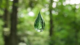 Online Study Group Meeting for Tuesday (1/14/2020)