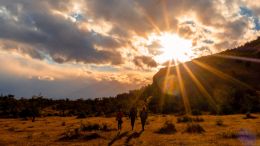 Online Study Group Meeting for Monday (2/10/2020)