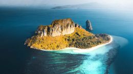 Online Study Group Meeting for Monday (5/11/2020)