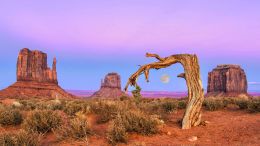 Online Study Group Meeting for Monday (5/25/2020)