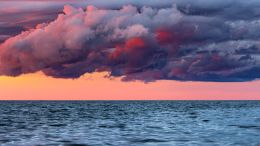 Online Study Group Meeting for Monday (1/9/2023)