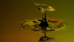 Online Study Group Meeting for Monday (1/13/2020)