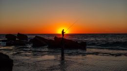 Online Study Group Meeting for Tuesday (2/25/2020)