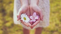 Online Study Group Meeting for Tuesday (4/21/2020)