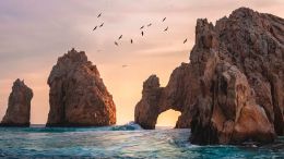 Online Study Group Meeting for Tuesday (5/19/2020)