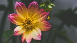 Online Study Group Meeting for Tuesday (6/2/2020)