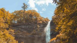 Online Study Group Meeting for Tuesday (12/10/2019)