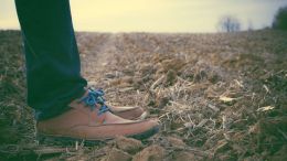 Online Study Group Meeting for Monday (2/3/2020)