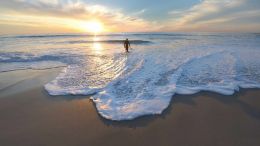 Online Study Group Meeting for Tuesday (3/24/2020)