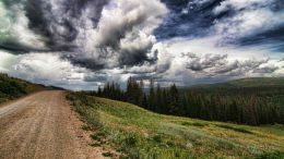 Online Study Group Meeting for Monday (3/9/2020)