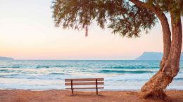 Online Study Group Meeting for Monday (3/30/2020)