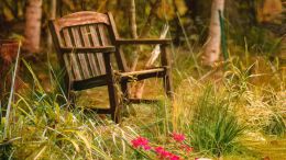 Online Study Group Meeting for Tuesday (3/31/2020)