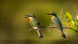 Online Study Group Meeting for Monday (6/28/2021)