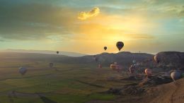 Online Study Group Meeting for Monday (12/7/2020)